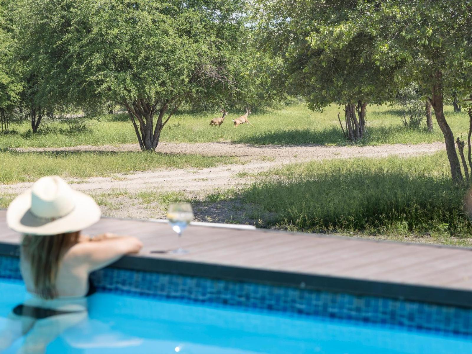 Leopard Plains Villa Motopi Dış mekan fotoğraf